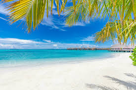 Beach view